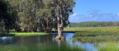 Terrenos do alojamento