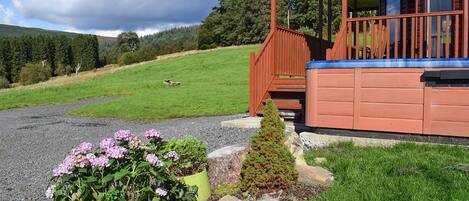 Eagles View - Clear Sky Lodge Park, Kielder