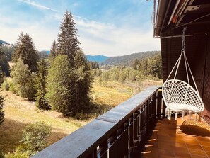 Ausblick vom großen Balkon direkt auf den Feldberg