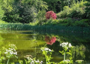 Hunter’s Lodge - Bulworthy Forest Lodges, Webbery, Bideford