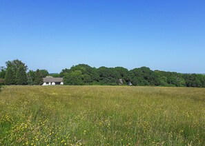 Woodlands Cottage - Eastcott Lodges, North Tamerton, Bude