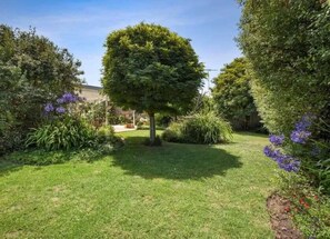 A big backyard for the kids and pets to play