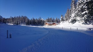 Winterwonderland Neuhofalm mit Langlaufloipe