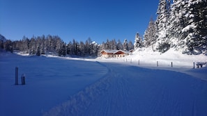 Snow and ski sports