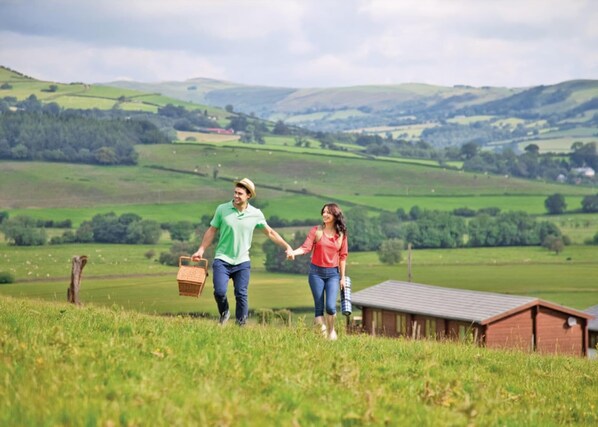 Trewythen Lodges, Llandinam, Powys