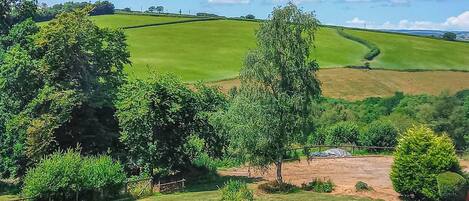 Pheasant - Romansleigh Retreat, South Molton, nr Barnstaple