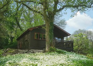 Ash Lodge