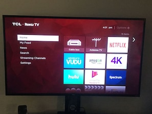 New Smart 55 inch Roku TV with Spectrum Silverpackage, Netflix, and more.