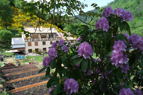 Terrenos do alojamento