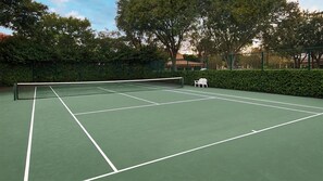 Sport court