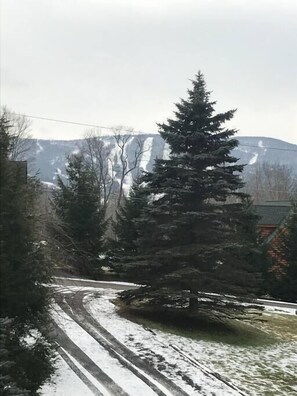 Mountain view from Deck