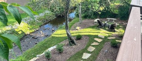 Backyard with Stream