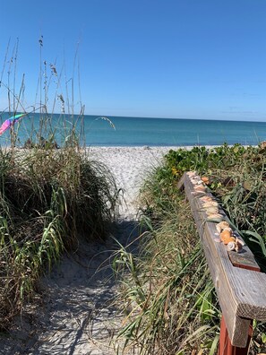 Playa
