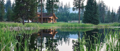 Pond view