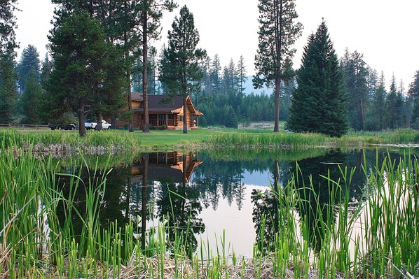 Pond view