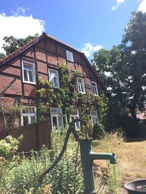Exteriör