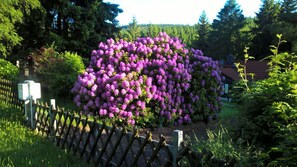 Boendeområde