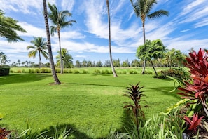 Located on the ground floor overlooking Waikoloa Beach Golf Course