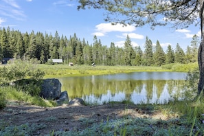 The pond at Sky High