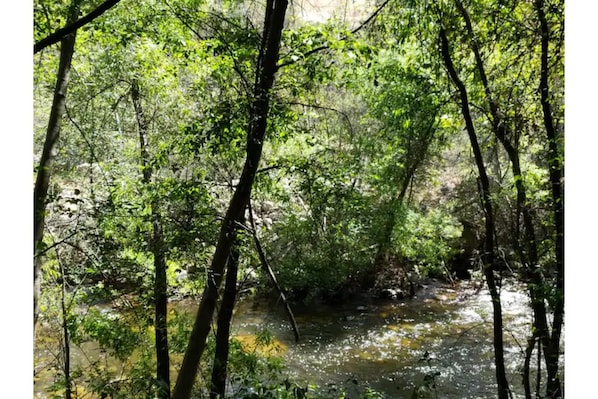 Beautiful River behind the house