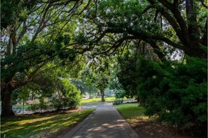 Driveway through the property to the Carriage House