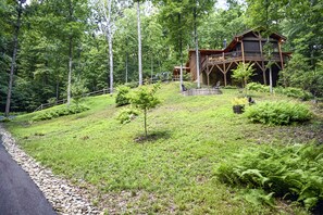 View from the driveway