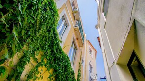 Don't forget to look up! You might miss a beautiful sight #airbnb #airbnblisbon #portugal #pt #lisbon