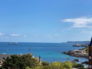 Vue sur la plage ou l’océan