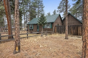 The cabin is in the heart of Woodland Park.  Great back yard!