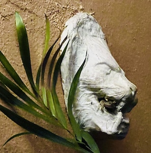 Détail de l’intérieur