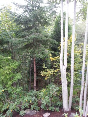 Ulkoalueet