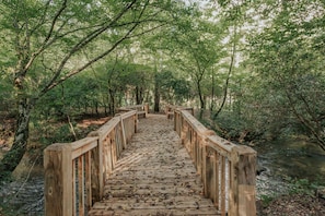 Cross the bridge to our own private island on the Cartecay River!