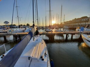 Marina