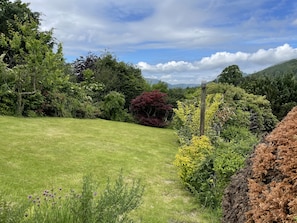 The garden is enclosed and features a lawn and patio