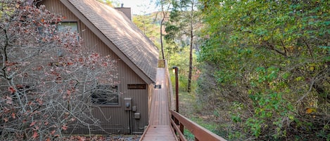 Stairs approaching house from driveway