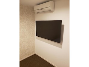 Fernseher