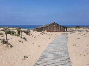 Strand