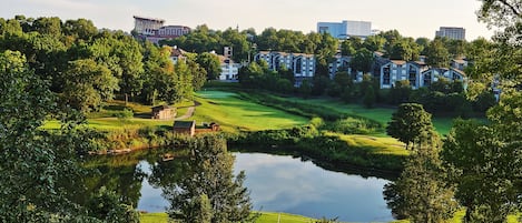 A look out of our enclosed Patio onto the beautiful Thousand Hills Golf course. 