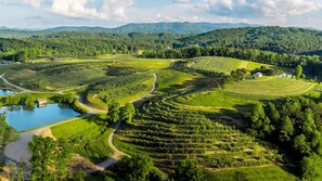 Apple picking, hard cider flights, bakery treats — all just minutes from the cabin
