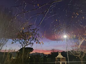 Himmel, Wolke, Atmosphäre, Welt, Dämmerung, Strassenlicht, Beleuchtung, Ast, Pflanze, Baum