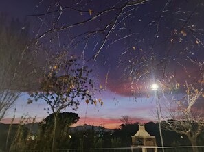 Sky, Cloud, Atmosphere, World, Dusk, Street Light, Lighting, Branch, Plant, Tree