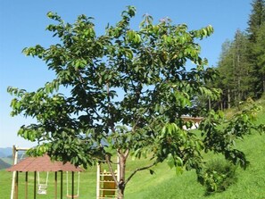 Ferienwohnung Künstner