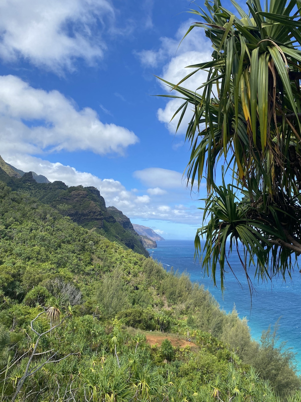 Fresh, Bright, New! Near Hanalei. Walk to the ocean in minutes.