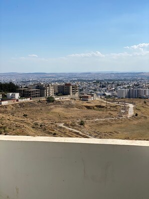 Vista desde la propiedad