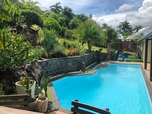 piscine 10X4 et son jardin tropical