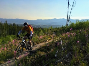 Excellent trails for hiking and mountain biking