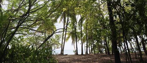 Jardines del alojamiento