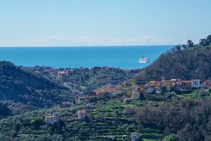 Vue aérienne