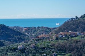 Vue aérienne