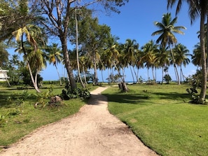 Walking path to Portillo beach